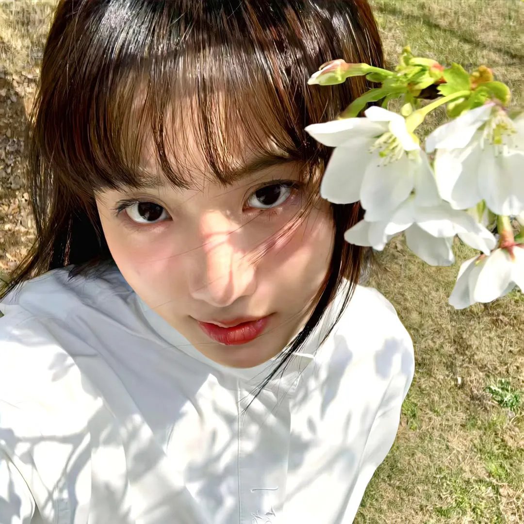 美丽王国